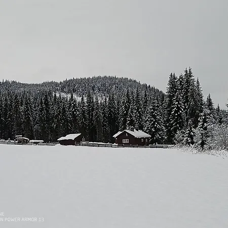 In The Forest Vakantiehuis *